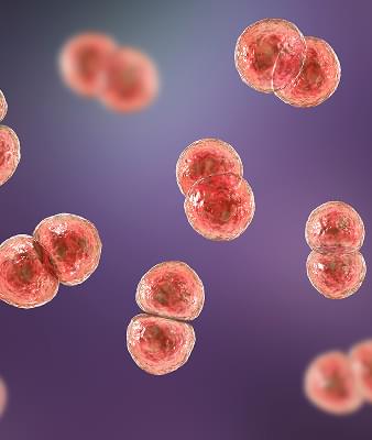 The Systemic Impact of Streptococcal Infections.